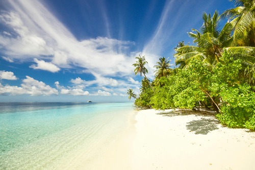 . A serene tropical beach featuring soft white sand and swaying palm trees under a clear blue sky